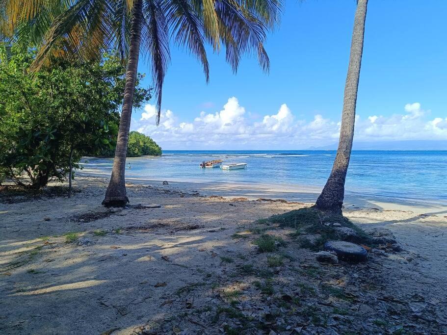 T1 Bis A Proximite De La Plage Le Gosier  Exterior photo